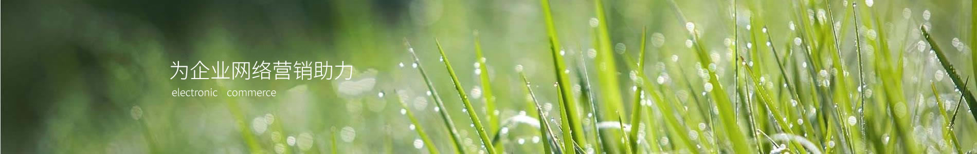 ľѸܿƼţ޹˾